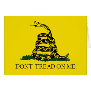 Don't Tread on Me Gadsden flag