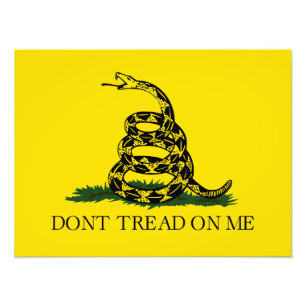 Don't Tread on Me Gadsden flag Photo Print