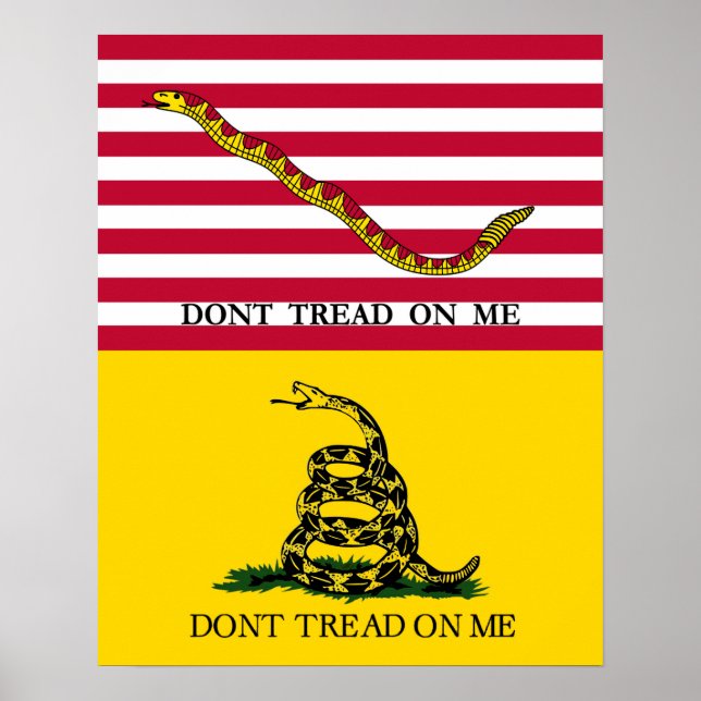 "Don't Tread On Me" - Navy Jack & Gadsden Flag Poster (Front)