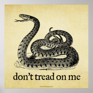 Don't Tread on Me Print