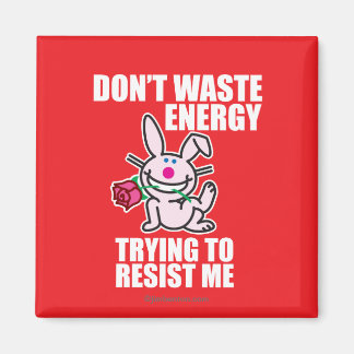 Don't Waste Energy Magnet
