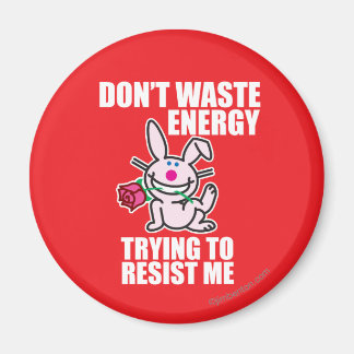 Don't Waste Energy Magnet
