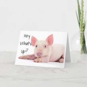 DON'T WORRY ADVISES PIG "60" IS NOT SO BAD!!! CARD