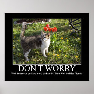 Don't Worry..Cat Friendship Artwork Poster