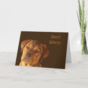 Don't Worry Cute Puppy Encouragement Card