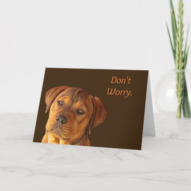 Don't Worry Cute Puppy Encouragement Card (Front)