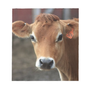Don't you think I'm Pretty Jersey Cow Notepad