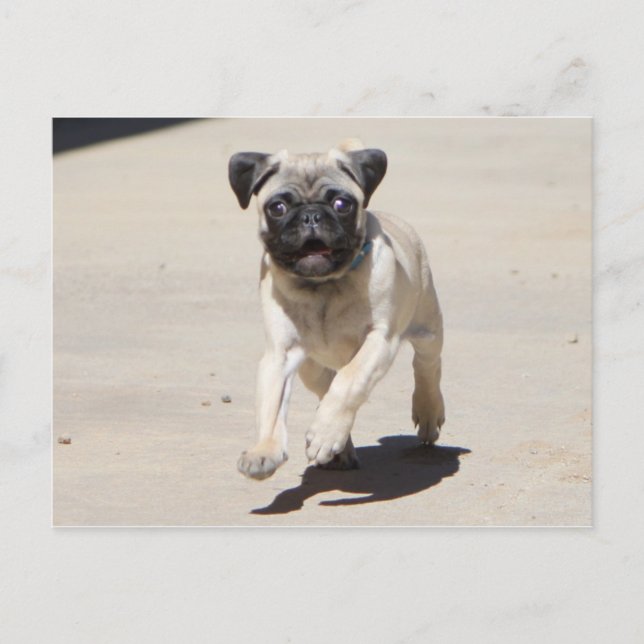 Doobie Runnin' Postcard (Front)