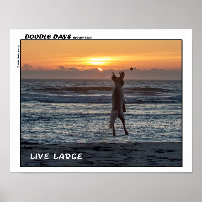 Doodle Days Comics "Live Large" Poster (14 x 11) (Front)