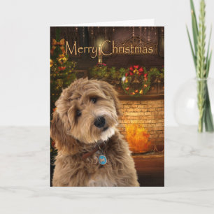 Doodle Dog Christmas Card