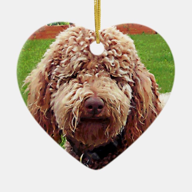 Doodle Painting Heart Ornament (Front)