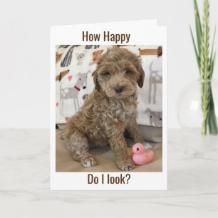 DOODLE PUP WISHES YOU A **A LATE HAPPY BIRTHDAY** CARD