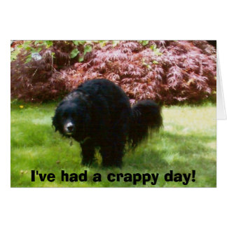 doodles, I've had a crappy day!