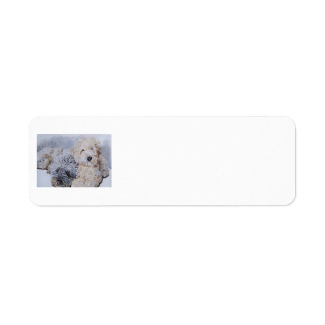 Doodles Two Return Address Label (Front)