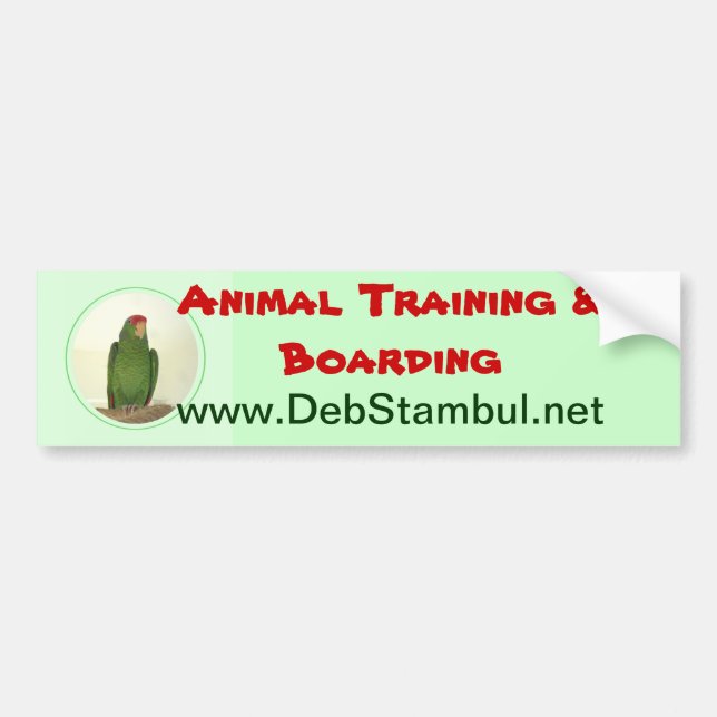 Dooley 1 bumper sticker (Front)