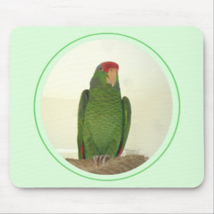 Dooley 1 mouse pad