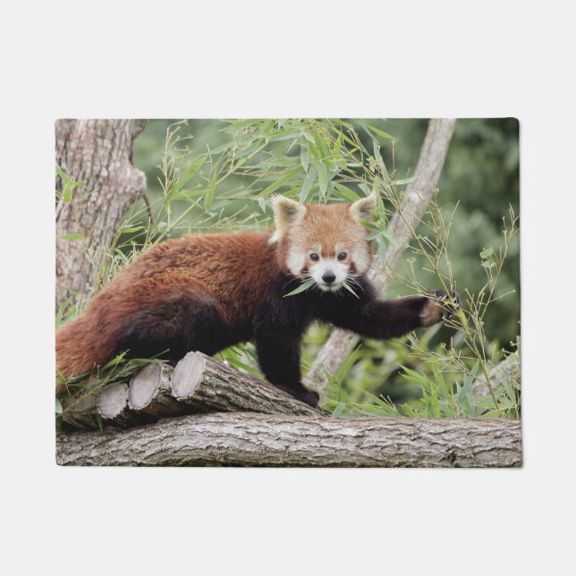 Doormat Photo red panda , animals 0234. (Front)