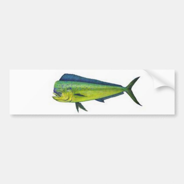 Dorado Bumper Sticker (Front)