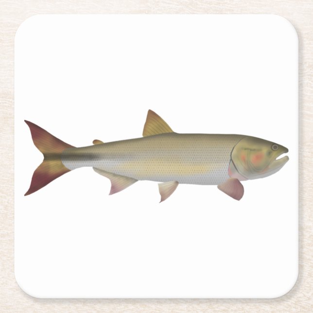 Dorado Square Paper Coaster (Front)