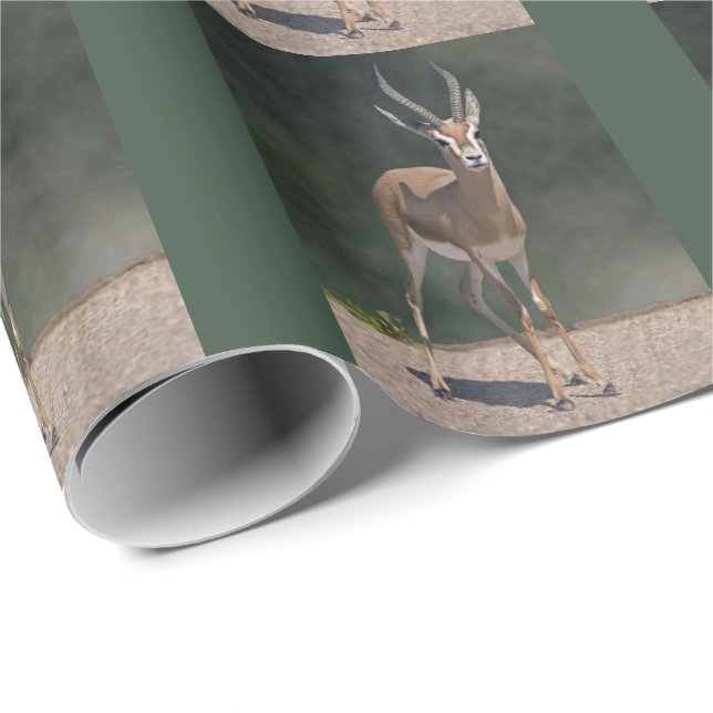 Dorcas Gazelle Wrapping Paper (Roll Corner)