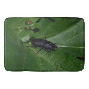 Dorcus parallelipipedus , the lesser stag beetle bath mat