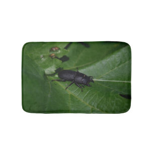 Dorcus parallelipipedus , the lesser stag beetle bath mat