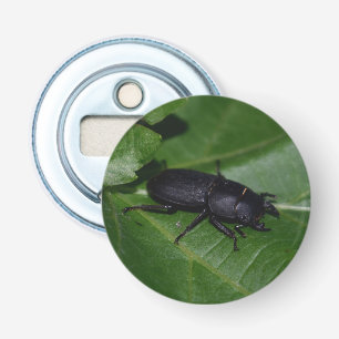 Dorcus parallelipipedus , the lesser stag beetle bottle opener