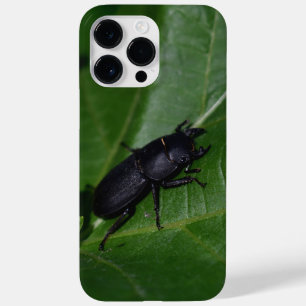 Dorcus parallelipipedus , the lesser stag beetle Case-Mate iPhone 14 pro max case