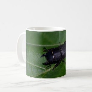 Dorcus parallelipipedus , the lesser stag beetle coffee mug