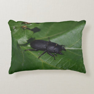 Dorcus parallelipipedus , the lesser stag beetle decorative cushion