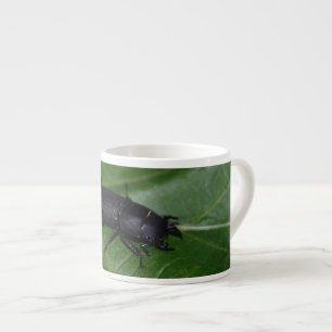 Dorcus parallelipipedus , the lesser stag beetle espresso cup