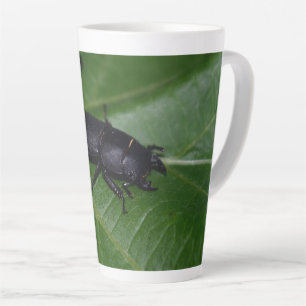 Dorcus parallelipipedus , the lesser stag beetle latte mug