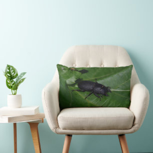 Dorcus parallelipipedus , the lesser stag beetle lumbar cushion