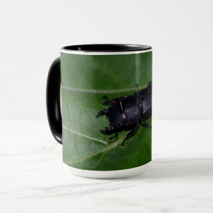 Dorcus parallelipipedus , the lesser stag beetle mug