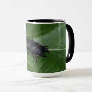 Dorcus parallelipipedus , the lesser stag beetle mug