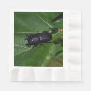 Dorcus parallelipipedus , the lesser stag beetle napkin