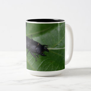 Dorcus parallelipipedus , the lesser stag beetle Two-Tone coffee mug