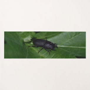 Dorcus parallelipipedus , the lesser stag beetle yoga mat