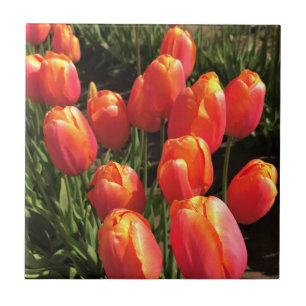 Dordogne Tulips, Oregon Ceramic Tile