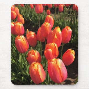 Dordogne Tulips, Oregon Mouse Pad