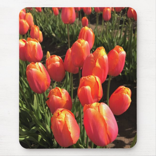 Dordogne Tulips, Oregon Mouse Pad (Front)
