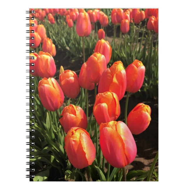 Dordogne Tulips, Oregon Notebook (Front)