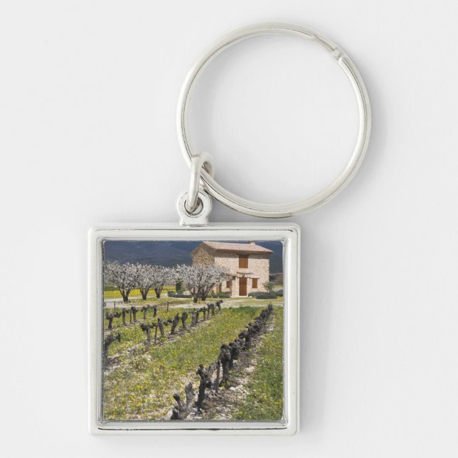 Dormant vineyard, fruit blossoms, stone house, key ring (Front)