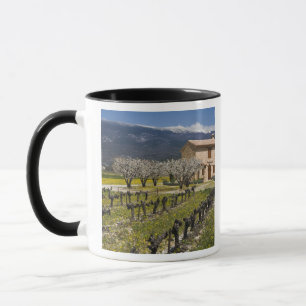 Dormant vineyard, fruit blossoms, stone house, mug