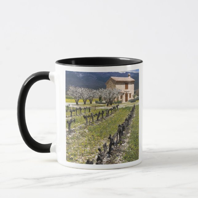 Dormant vineyard, fruit blossoms, stone house, mug (Left)