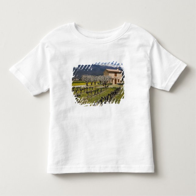 Dormant vineyard, fruit blossoms, stone house, toddler T-Shirt (Front)