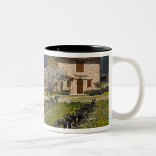 Dormant vineyard, fruit blossoms, stone house, Two-Tone coffee mug