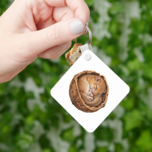 Dormouse Curled in a Walnut Shell Key Ring