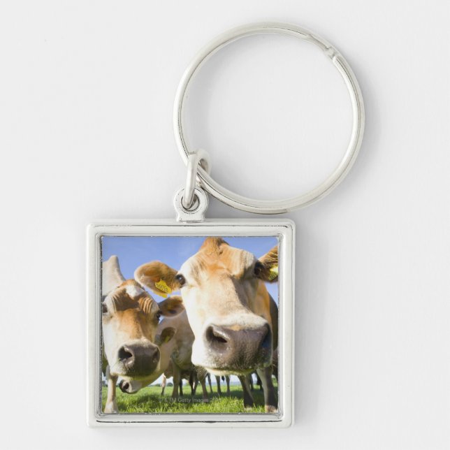 Dorset, UK Key Ring (Front)