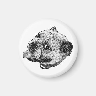 Dot Bulldog Magnet